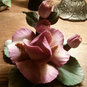 Capodimonte Carlo Savastano Porcelain Orchid GVC